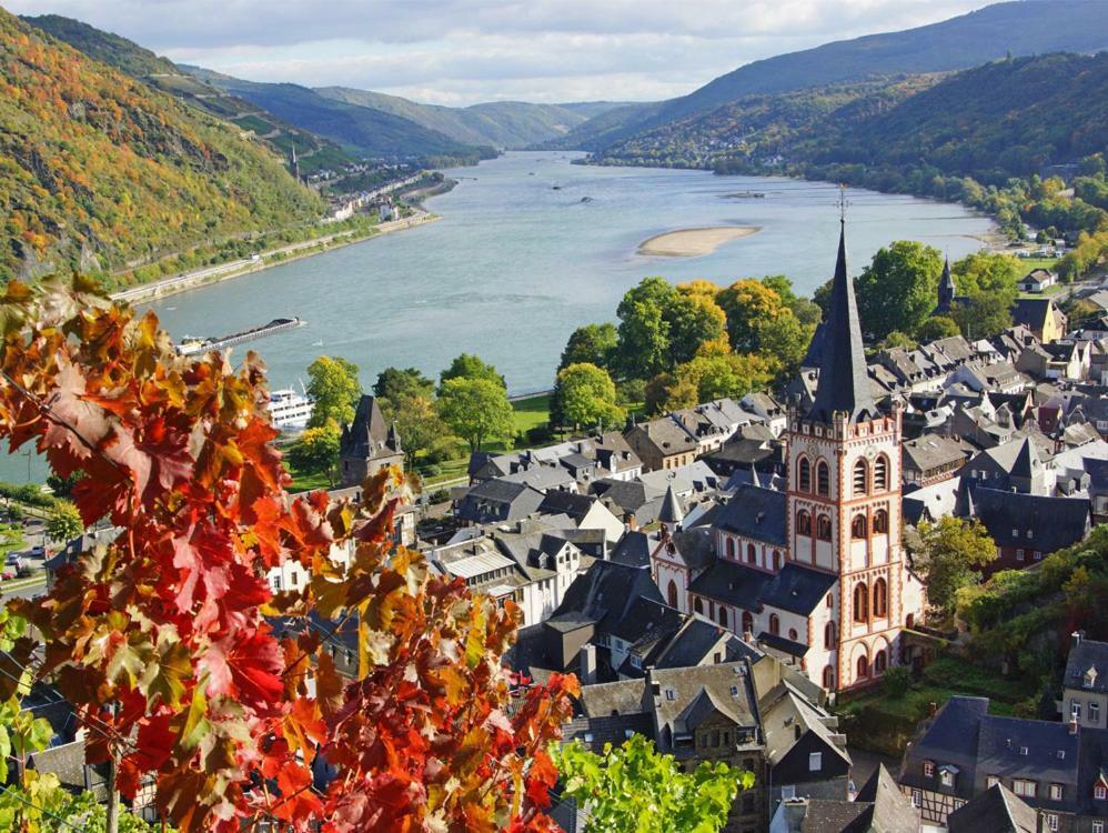 Ferienwohnung "Gecko" Andernach Exteriör bild